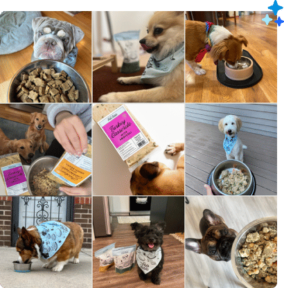 Why Switch why-switch